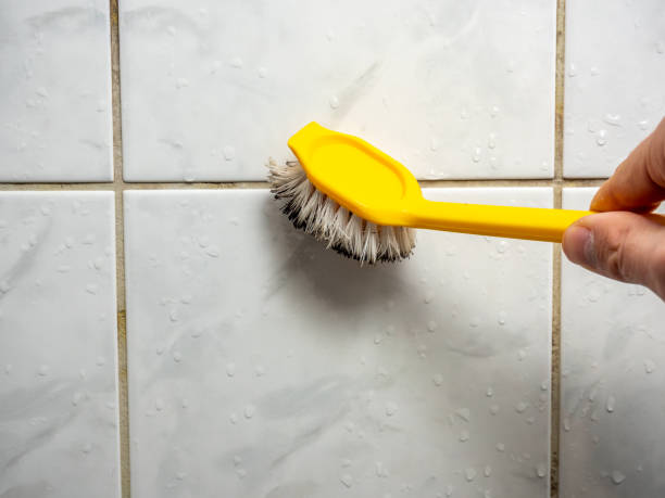 Best Mold Remediation for Specific Building Types in La Presa, CA