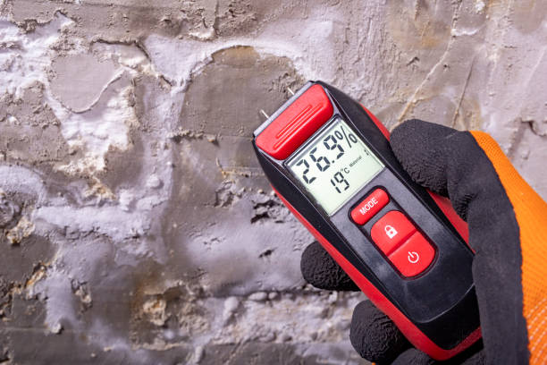 Best HVAC Mold Remediation in La Presa, CA