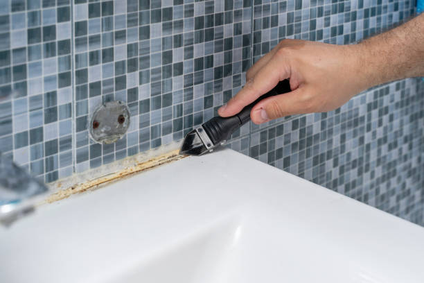 Best Emergency Mold Remediation in La Presa, CA