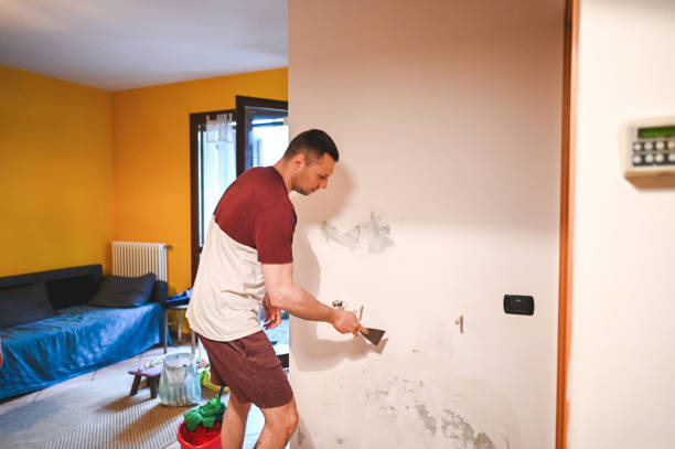 Best Black Mold Remediation in La Presa, CA
